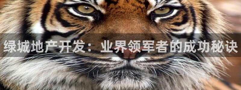 鄂尔多斯永利煤矿简介
