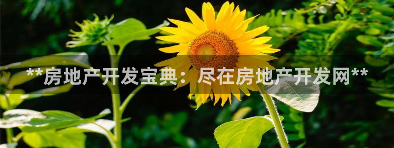 网络永利ly79,cn