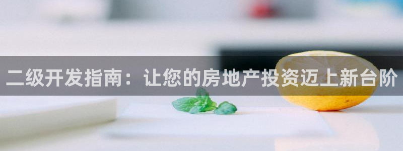 永利运动鞋是几几年出的