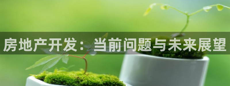 永利传送带业务