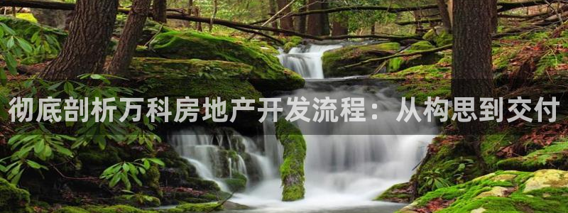 永利官网误乐域一个币多少钱