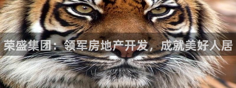 永利游乐城网址是什么