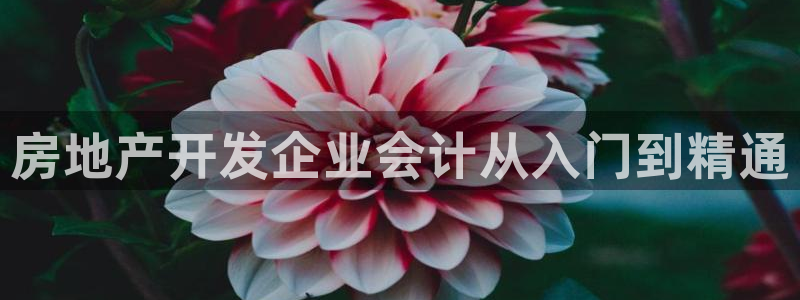 永利精品酒店