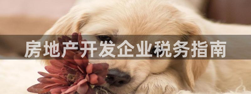 永利输的钱可以弄回来吗是真的吗