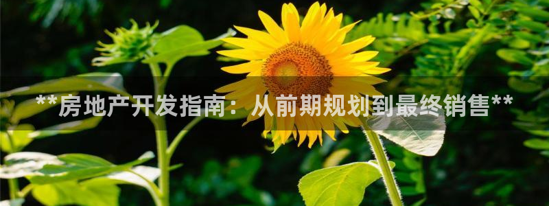 永利有限公司