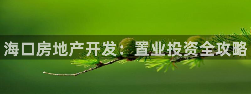 永利皮带官网价格查询系统