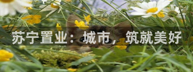 永利皮带型号说明书图片