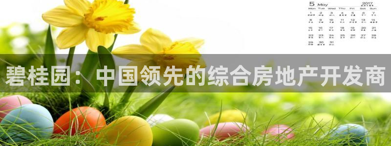 永利黄府黄立青信鸽图片