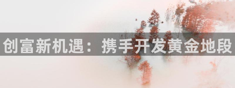 永利网是干什么的,能挣到钱吗安全吗