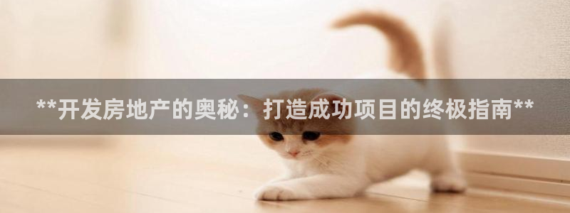 永利股份公司