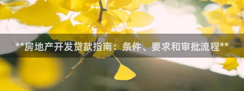 永利有限责任公司