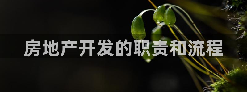 永利背一分什么价格