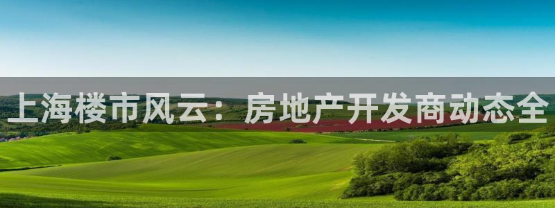 永利宝高管