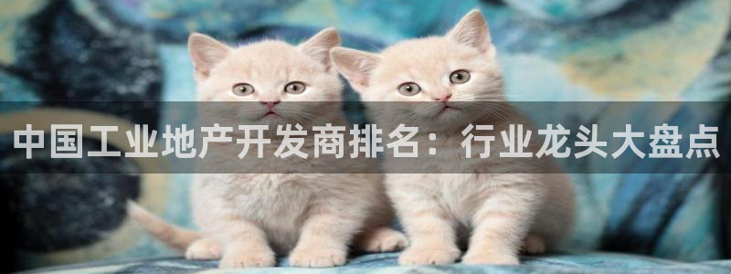 永利皇府黄立青身价