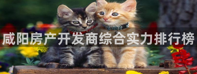 永利玩具厂怎么样