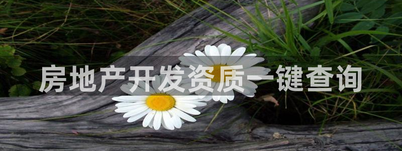 永利乳业