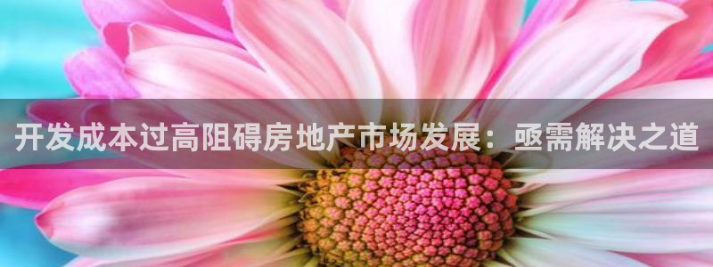 永利股吧