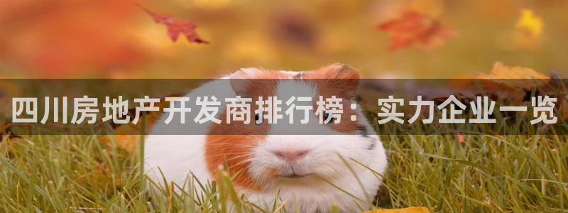 永利官方网招聘最新消息