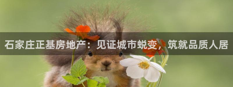 永利游乐城网址