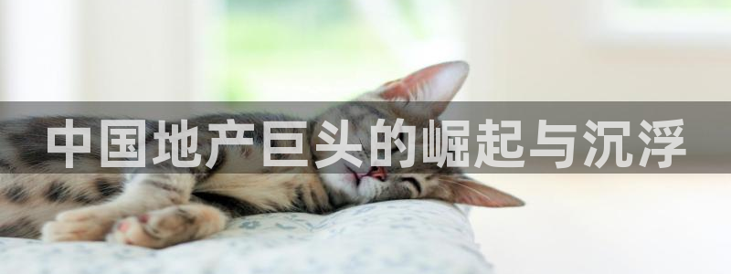永利现场