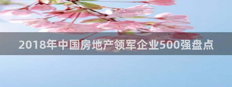 永利置业