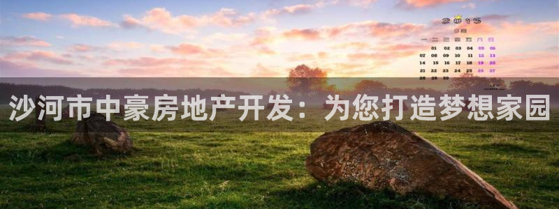 永利有限责任公司