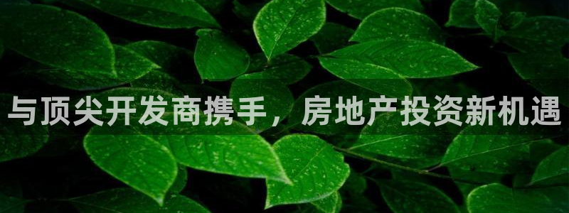 永利金控控股有限公司