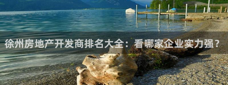永利房地产有限公司