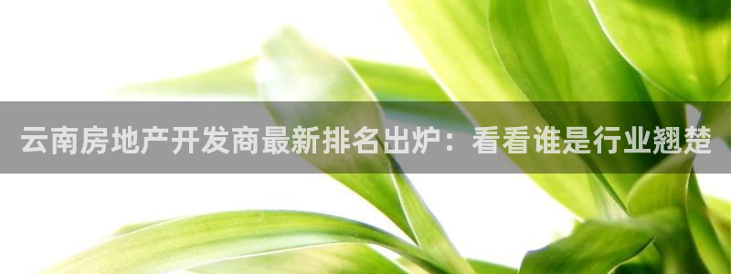 永利酒店购物