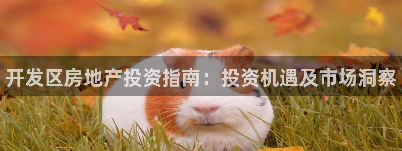 永利表行是正品吗