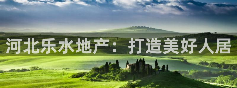 永利有限责任公司
