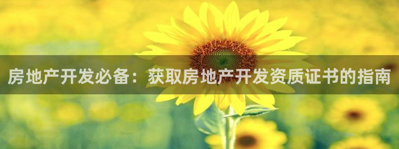 永利官网查询