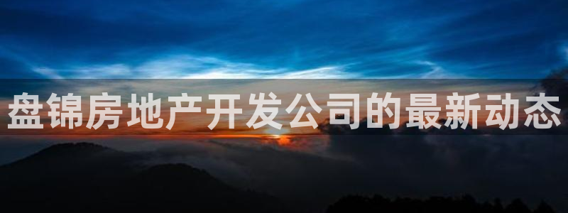 永利地产