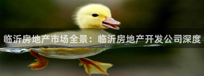永利股份是做什么的