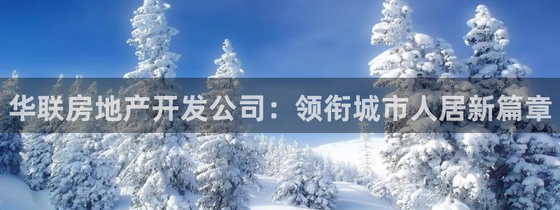 永利集团董事长什么级别