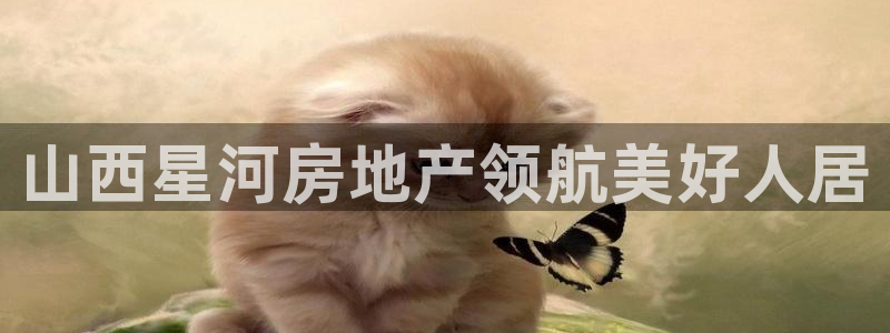 永利 澳门