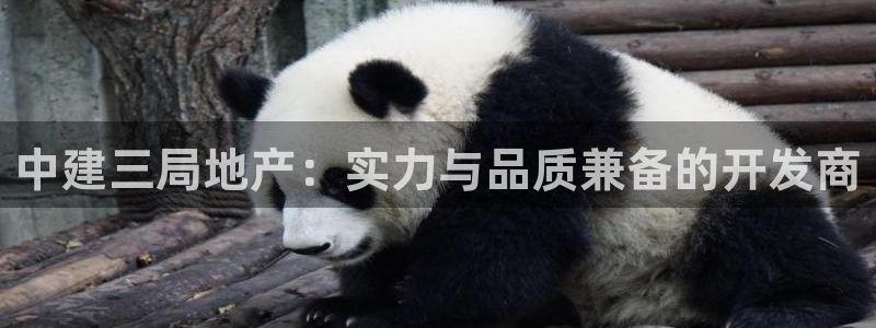莱州永利集团