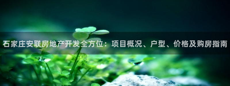 永利杯掼蛋