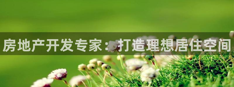 永利地产工程有限公司
