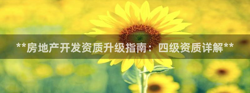永利宝高管