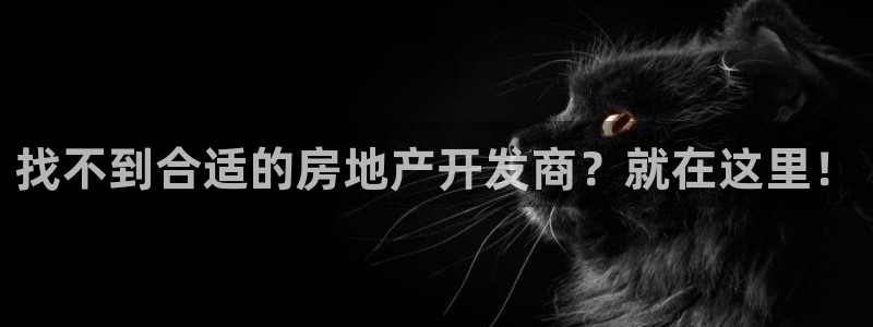 永利房地产开发有限公司