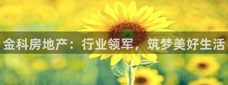 永利链条