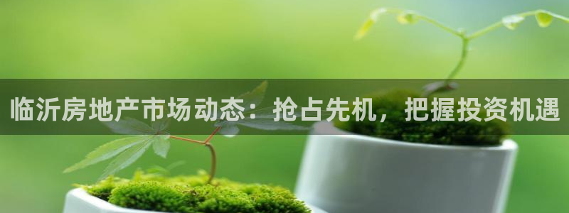 永利运动鞋是几几年出的