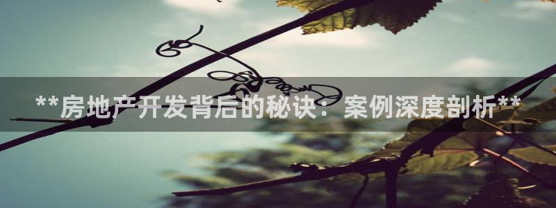 永利皮带报价