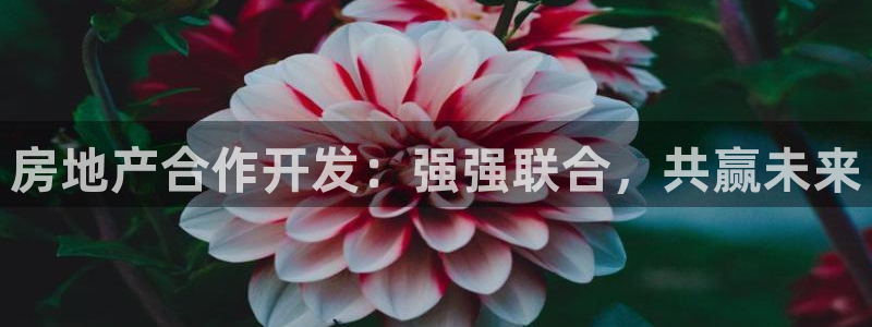 永利纺织有限公司