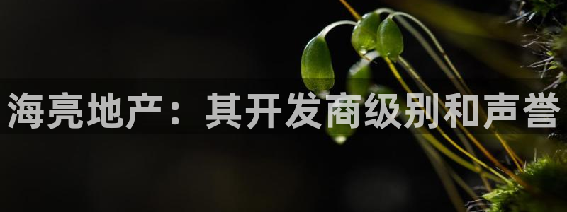 永利皮带型号说明