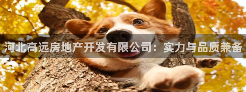 永利带业集团2020年的业绩状况