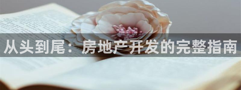 永利保险公司排名
