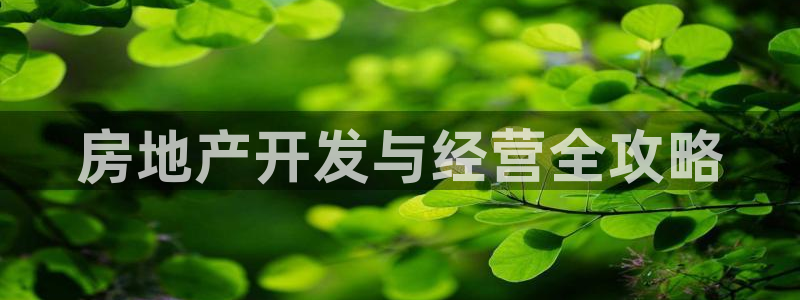 永利皮带报价