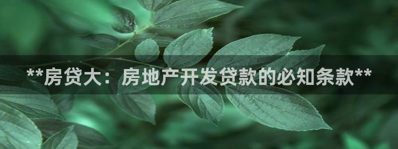 永利官网总站入口网址